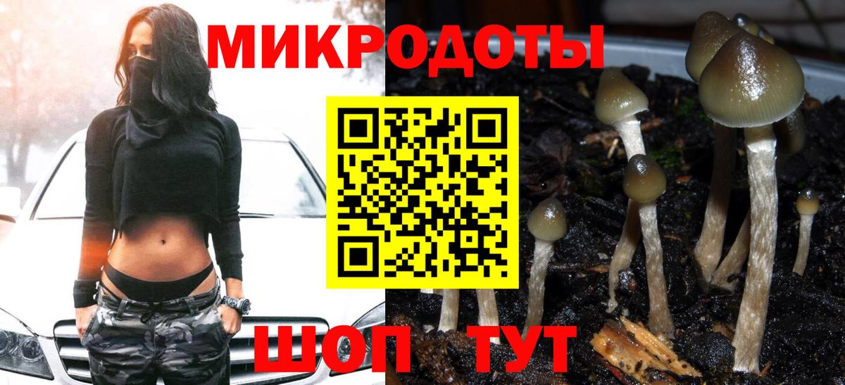 Галлюциногенные грибы Cubensis  Псилоцибиновые грибы Psilocybe  Вход с VPN  Георгиевск 