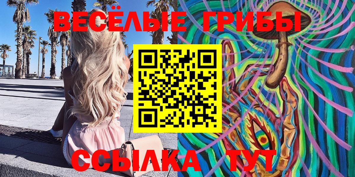 Галлюциногенные грибы мицелий Георгиевск